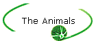 The Animals